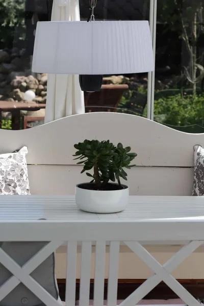 Faciliteter_karusel_orangeri3