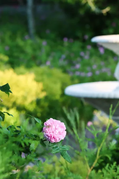 Faciliteter_karusel_spa3(1)